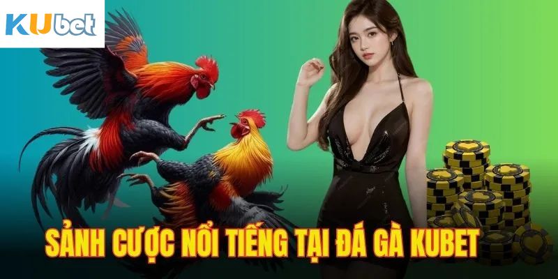 Một số ưu điểm vượt trội có ở sân chơi đá gà Kubet 
